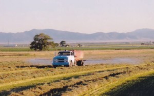 water truck spraying hay