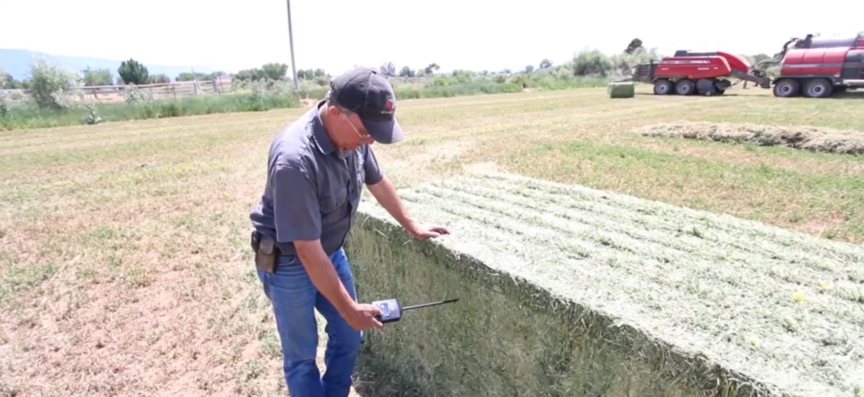 Featured image for “Managing Bale Temperature”