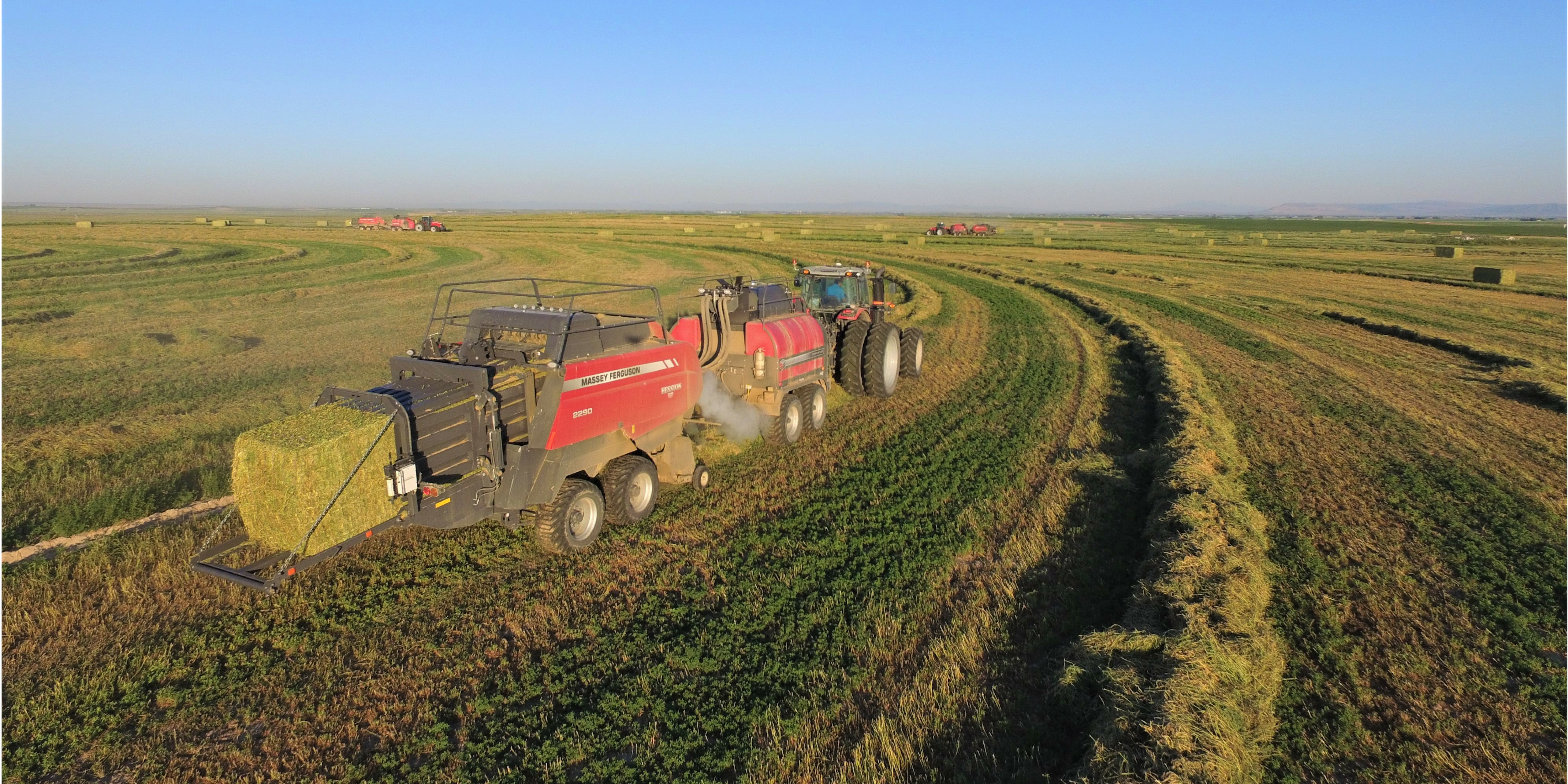 Featured image for “Monitoring Bale Moisture While Baling with the DewPoint Hay Steamer”