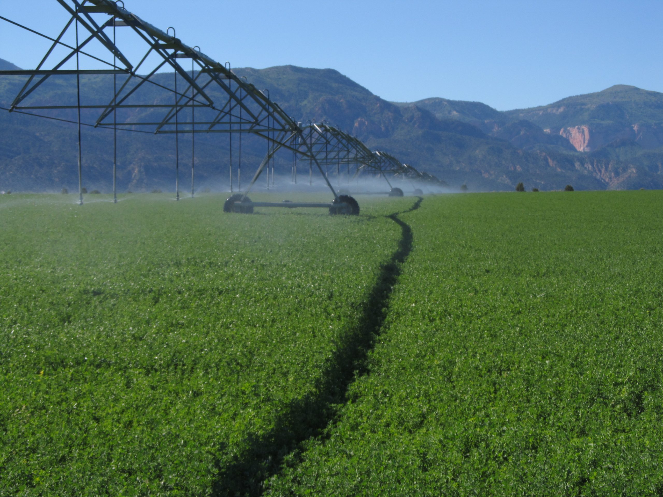 Featured image for “A New Way of Thinking When it Comes to Irrigation”